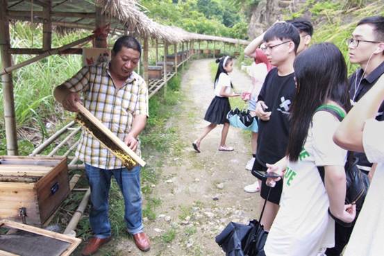 ”善行景宁乡，共圆畲汉梦“暗网
景宁梦之队-实地调研当地养蜂业